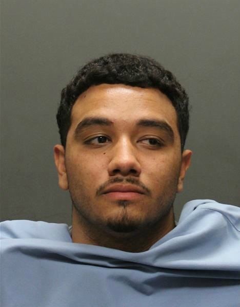 Mug shots 2017